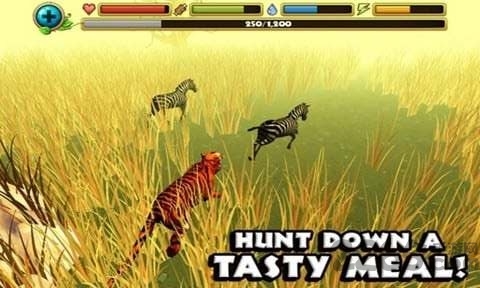 虎王模拟器游戏解锁版的图册