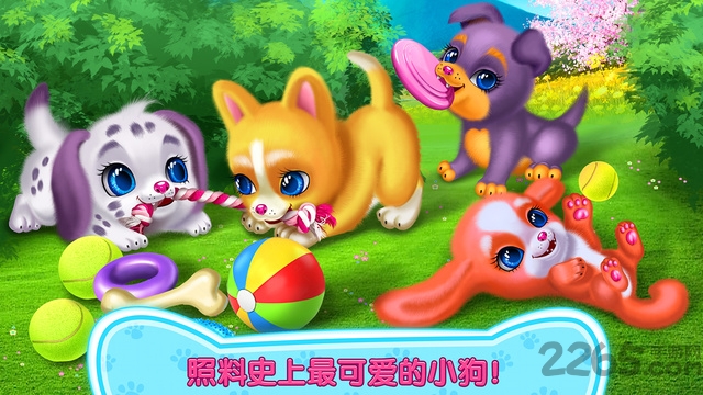 可可小狗游戏内购破解版的图册