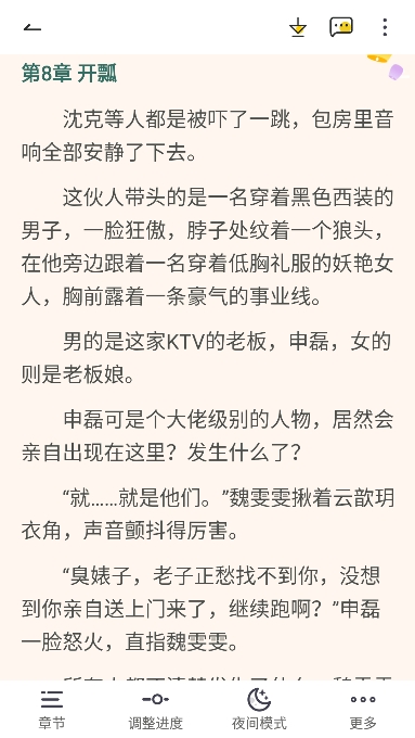 宝藏书城的图册