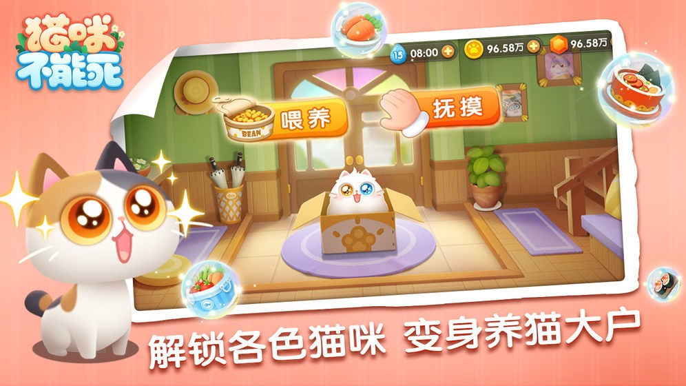 猫咪不能死的图册