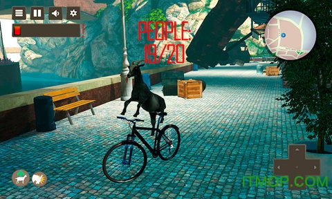 疯狂的小山羊的图册