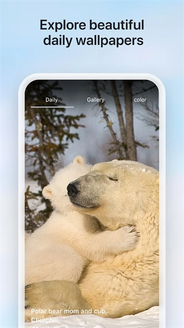 微软必应国际版的图册