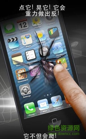 手机屏幕养蜘蛛软件SpiderPrank的图册