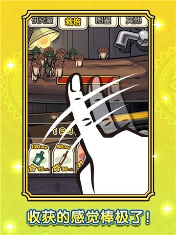 蘑菇花园的图册