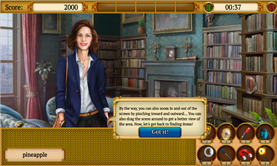 隐藏物品神秘的欧洲(mysterysociety)的图册