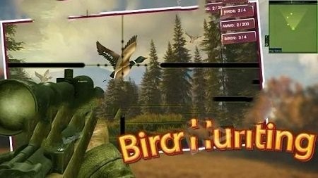 猎鸟猎人的图册