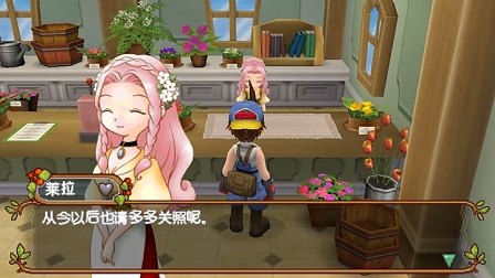 牧场物语蜜糖村与大家的心愿游戏的图册