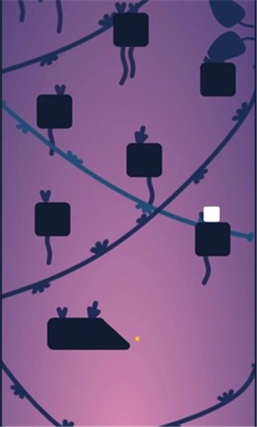 奔赴顶点的图册