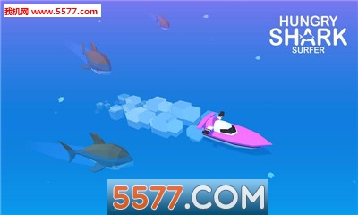 冲浪者鲨鱼躲避手机版的图册