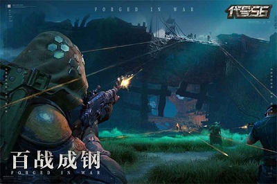 代号56正版的图册