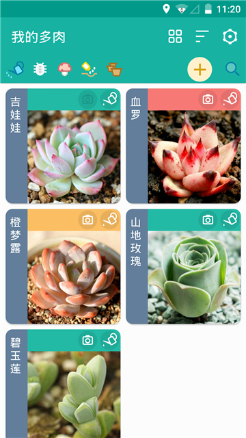 多肉成长记手机版的图册