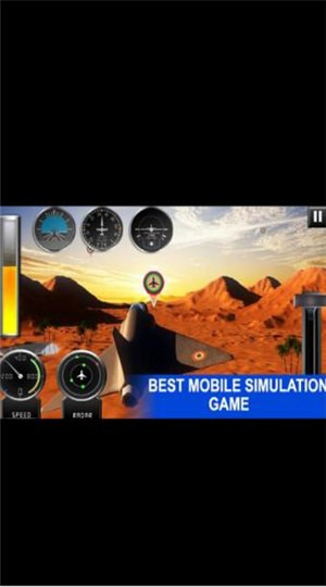 真实飞行大师的图册