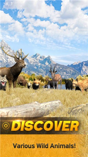 狩猎世界的图册