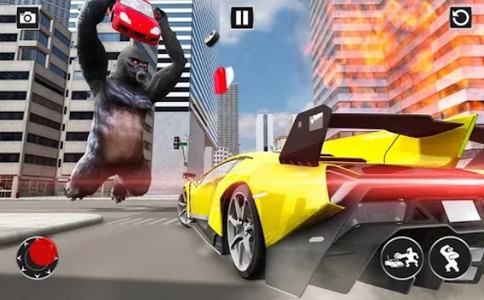 金刚横冲直撞的图册