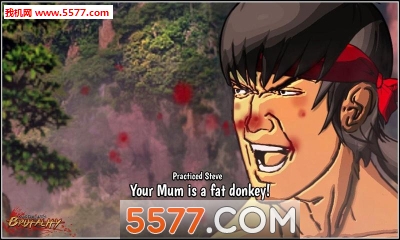 武术暴行官方版的图册