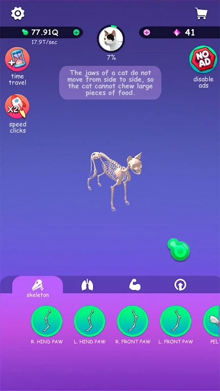 闲置动物切割的图册