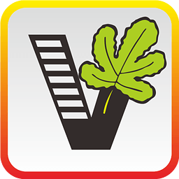 我要自学网移动客户端pad版