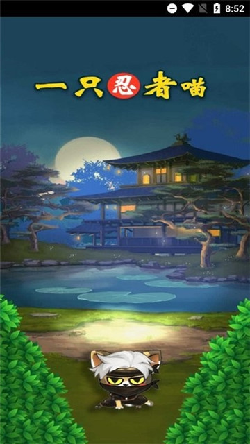 一只忍者喵的图册