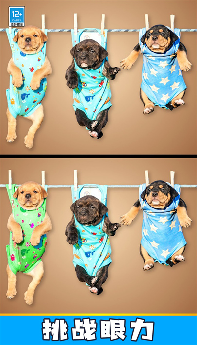 大家找不同的图册