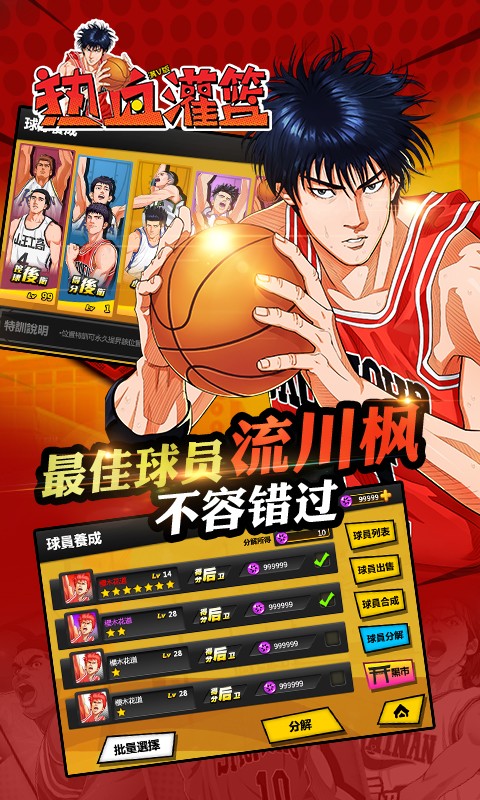 热血灌篮的图册