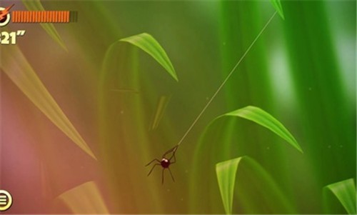 蜘蛛的冒险的图册