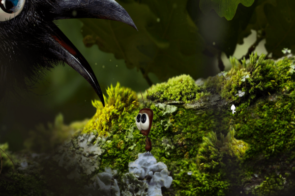 蚂蚁文托的图册