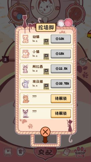 云撸猫咪的图册