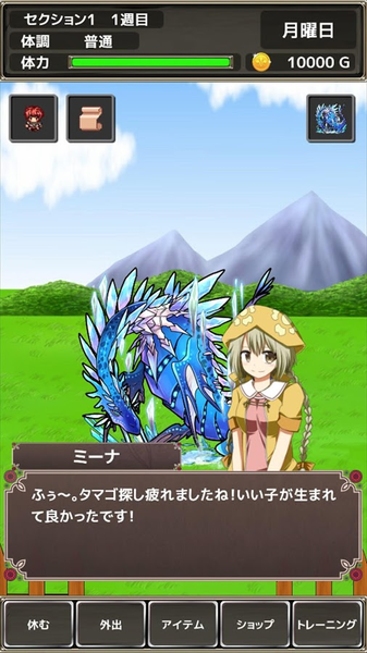 口袋农场：未知之蛋与魔王的图册