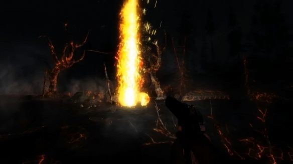 暗夜黑刺的图册