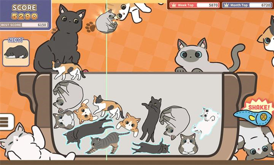 猫猫三重奏的图册