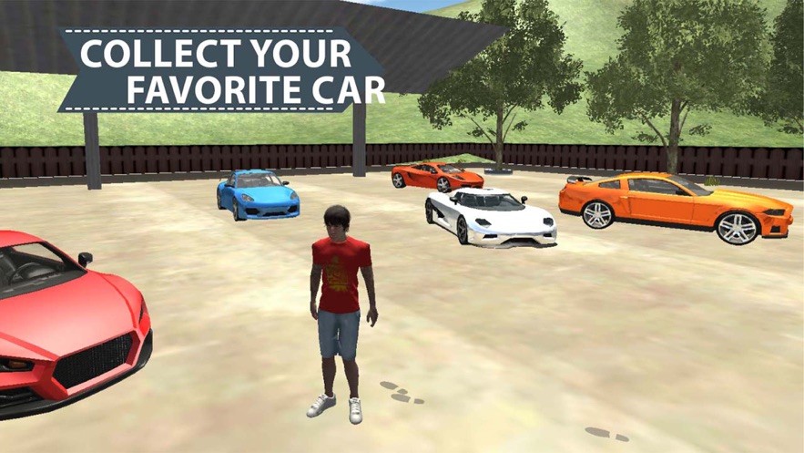 年轻男孩拯救邻居的图册