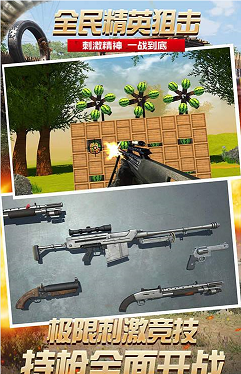 全民精英狙击的图册