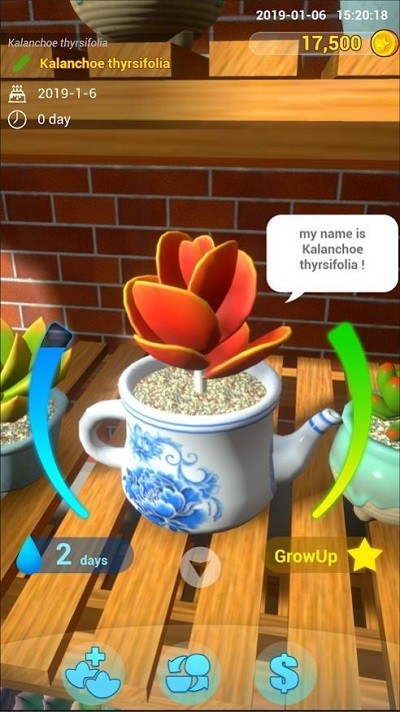 阳台花园手机版的图册