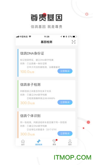 尊贵赛鸽网的图册