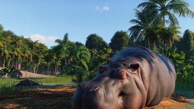 动物园之星免费正版的图册