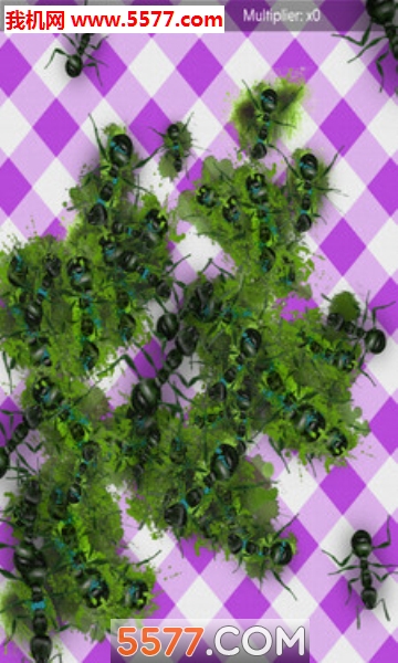 没有更多的蚂蚁手机版的图册