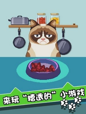 我的猫大人的图册