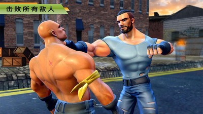 街头搏击自由格斗的图册