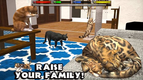 终极猫咪模拟器官方版的图册