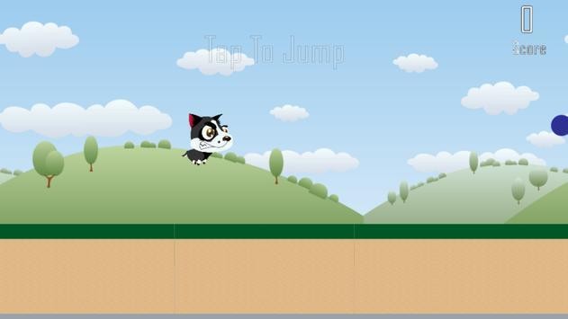 愤怒小狗跑的图册