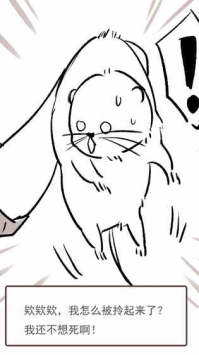 竹鼠：保卫战的图册