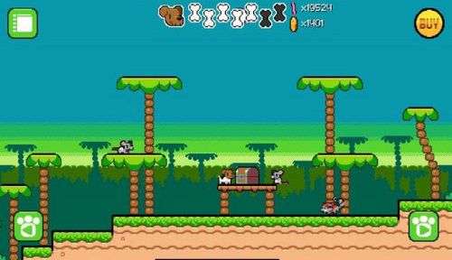 袜子收集者的图册