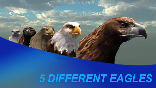 猎鹰之旅模拟器最新版的图册