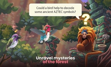 鸟类世界最新版的图册