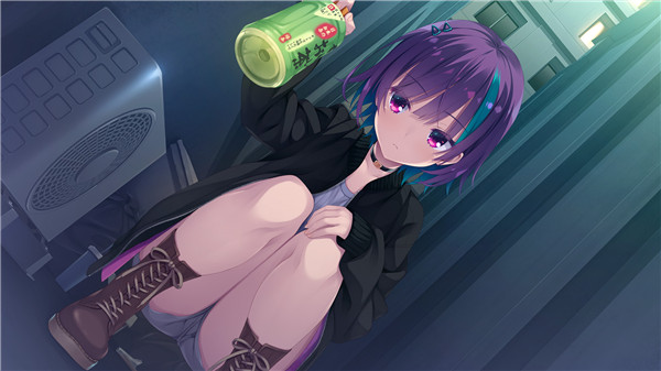 帕奎特parquet的图册