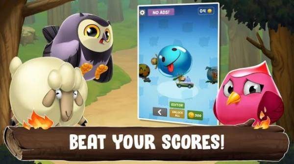 动物园之路的图册