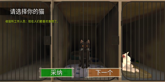 顽皮猫生活模拟的图册