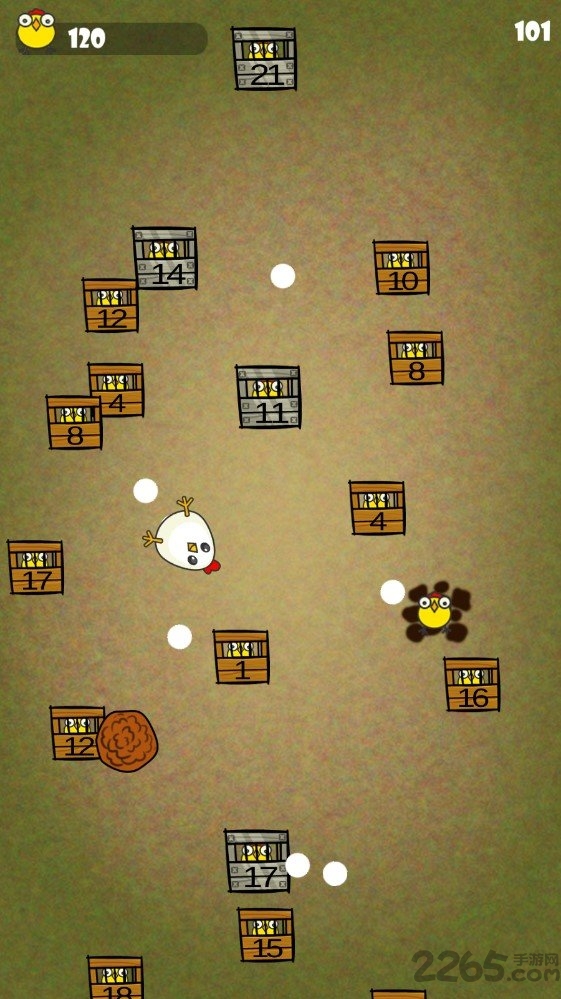 鸡你太美一群战斗鸡正版的图册