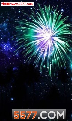 手机3D烟花模拟器的图册