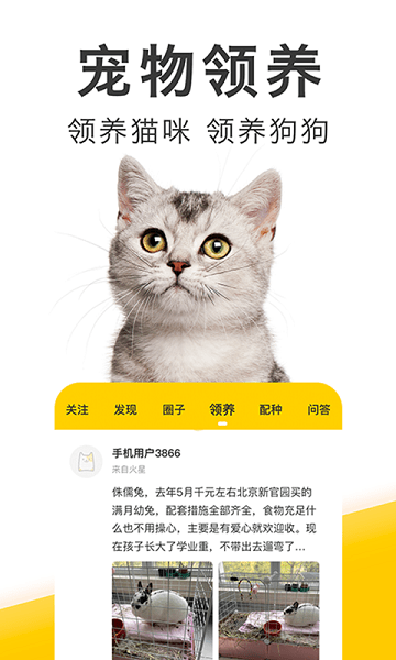 有只宠物客户端的图册